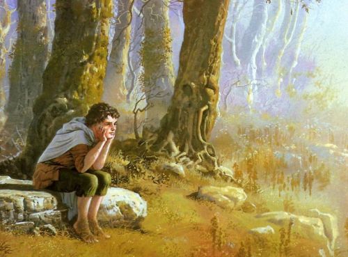 “Frodo undertook his quest out of love–to save the world he knew from disaster at his ow