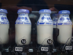 ossu-ossu:  販賣機賣明治牛乳 by vet EJ on Flickr. 