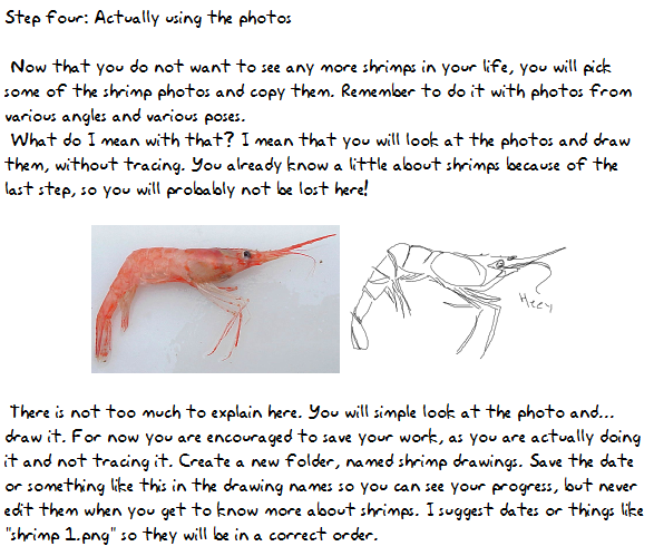 prrb:  How I pratice drawing things, now in a tutorial form.The shrimp photo I used