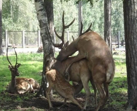 scrotumcoat:  gettin his and gettin his 