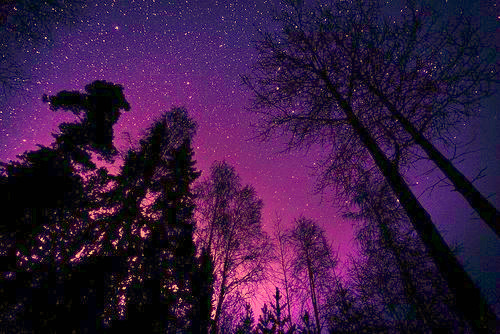 alaskandreams - W A N D E R L U S T