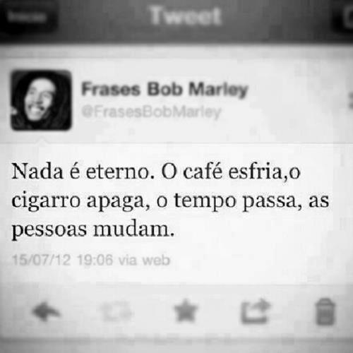 Estante da Carol