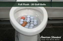 theworstthingsforsale:  Apparently, flushing