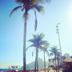 re-veal:  rosy-vibes:  4nkn0wn:  Ipanema beach - Brazil  so pwetty  rosy xx