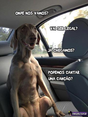 leiaseforcapazounao:  Tirinha Enviada pelo Leitor @vininholol Original de AHNEGAO