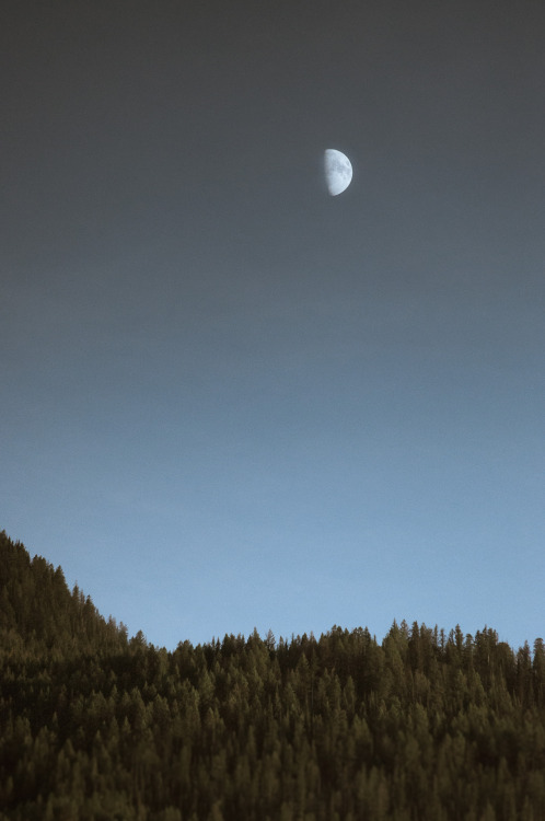 nathanielatakora:  For Neil, rest in peace