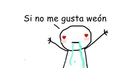 imafuckingweirdo:  nadie-weon-nadie:  ñlkjhdsui kamila weona:( eres tú   Yo xd