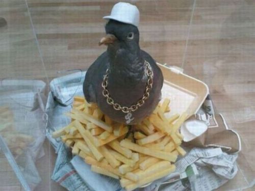 foreveralone-lyguy:  I didn’t choose the thug life. The thug life chose me. 