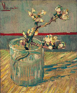 Sex  Favourite artists → Vincent van Gogh pictures