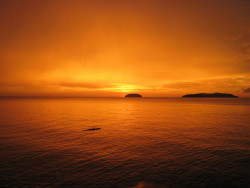 aivarukki:  Orange sunset by @Doug88888 on