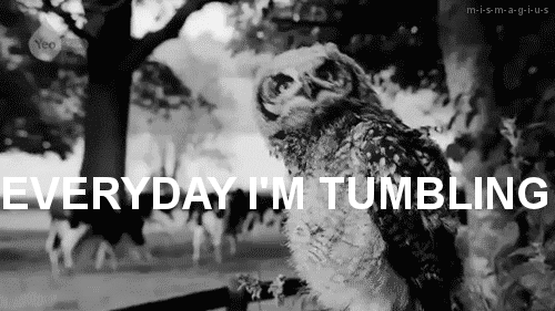 masalperisimiyimne:  yeaaaahhhh