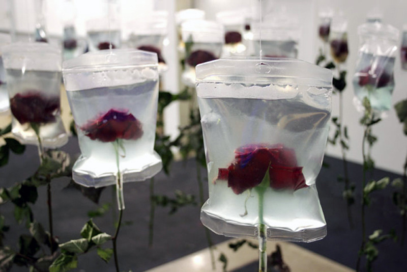 likeafieldmouse:  Min Jeong Seo - To Live On (2005) 