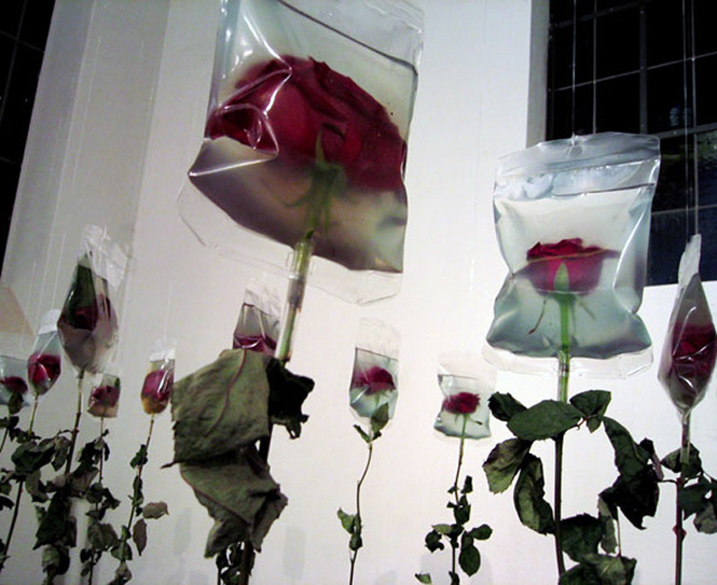 likeafieldmouse:  Min Jeong Seo - To Live On (2005) 