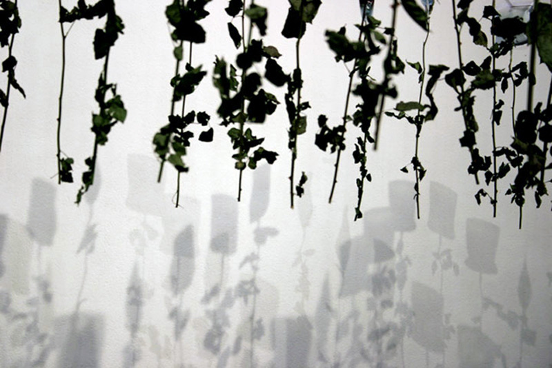 likeafieldmouse:  Min Jeong Seo - To Live On (2005) 