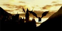 hermionergranger:  Best Movies | Harry Potter and The Order of The Phoenix 