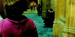 hermionergranger:  Best Movies | Harry Potter and The Order of The Phoenix 