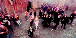 hermionergranger:  Best Movies | Harry Potter and The Order of The Phoenix 