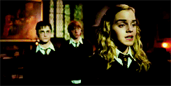 hermionergranger:  Best Movies | Harry Potter and The Order of The Phoenix 