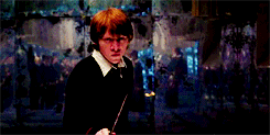 hermionergranger:  Best Movies | Harry Potter and The Order of The Phoenix 
