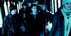 hermionergranger:  Best Movies | Harry Potter and The Order of The Phoenix 