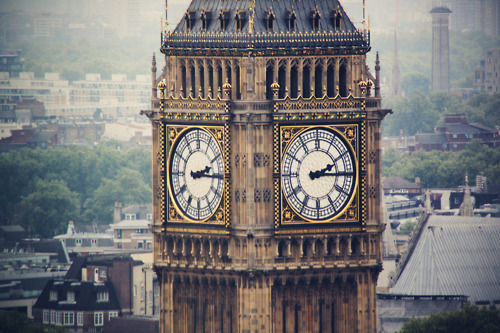 mittsagoland.tumblr.com/post/36280332159/