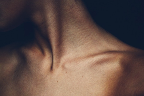 collarbones