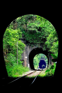 bluepueblo:  Triple Railroad Tunnel, Xiapu, China photo via dont 