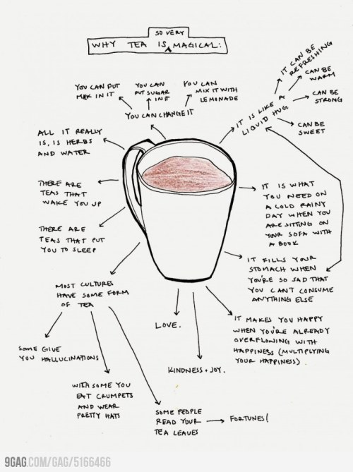 accordingtomac: My tea addiction has been justified. (Source: 9GAG)