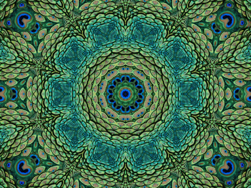 chichiliki: Mandalas at society6 here Artist Tumblr here Mandala Iphone &amp;