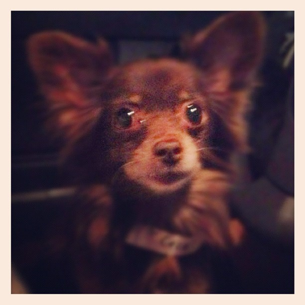 After a throw down and a trip to the emergency room, Cece has made it through surgery.