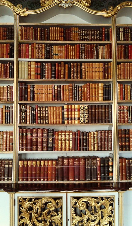 meowlikeacow:A beautiful bookcase at Wrest Park, England