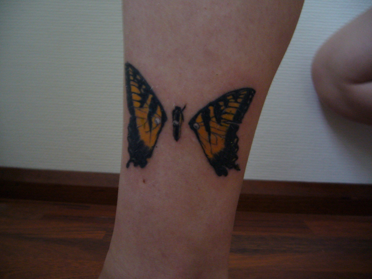 Paramore Inspired Tattoos — my brand new eyes butterfly tattoo :)