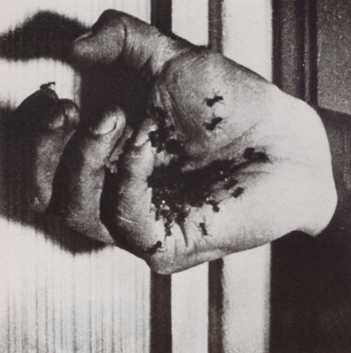 shoulderblades:  un chien andalou, 1929 