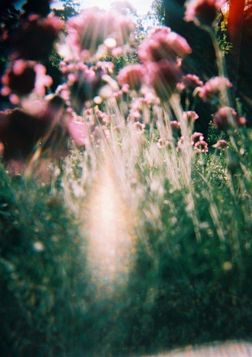 crystvllized:  soft grunge ☯♡✝ 