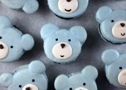 gastrogirl:  adorable bear macarons. 