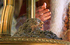 darkflights:  hp meme [6/6] - six creatures/magical objects↳ Phoenixes   “Fascinating