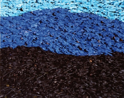 Spencer Tunick. Adormment. http://www.spencertunick.com/