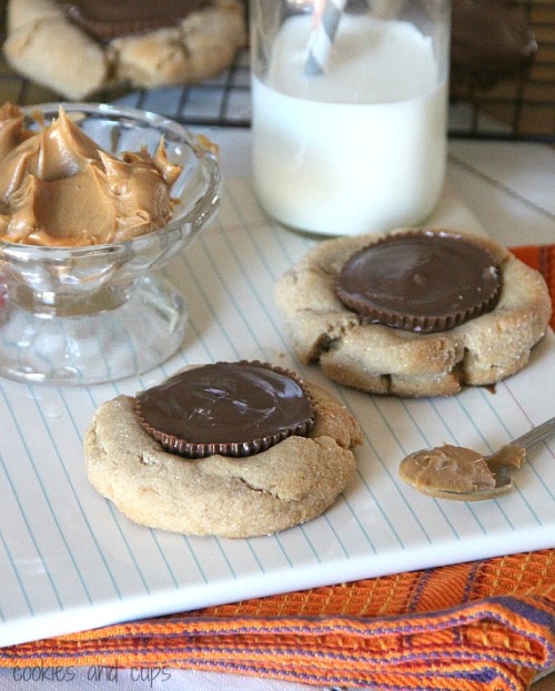 Porn photo gastrogirl:  giant peanut butter cup blossoms.