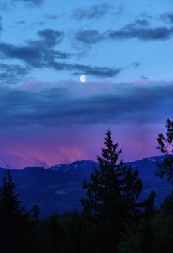 c0caino:  pink sky with moon 