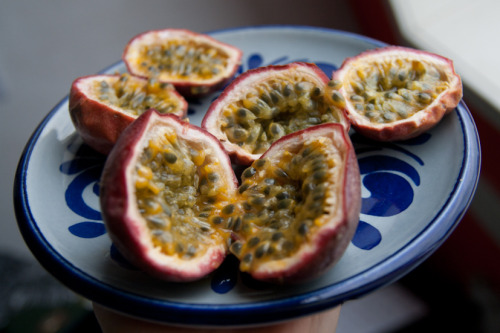 Snacks!(Dragonfruit, Passionfruit & Orange juice/Grapefruit juice)