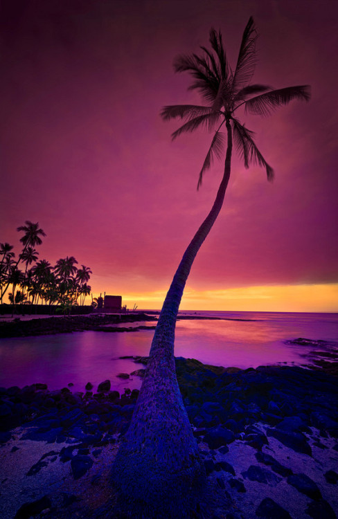 lori-rocks:  City of Refuge on the Big Island of Hawaii in all its beauty. by Yves Rubin