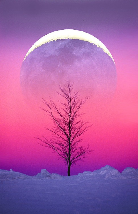 earthlynation: Winter Moonrise by Larry Landolfi on 500px