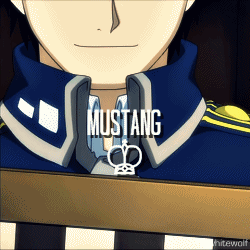 txwhitewolf-deactivated20140203:  Team Mustang