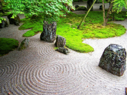 ziararose:  I was in a zen garden in Japan