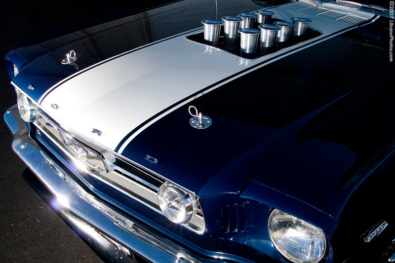 Ford Mustangs