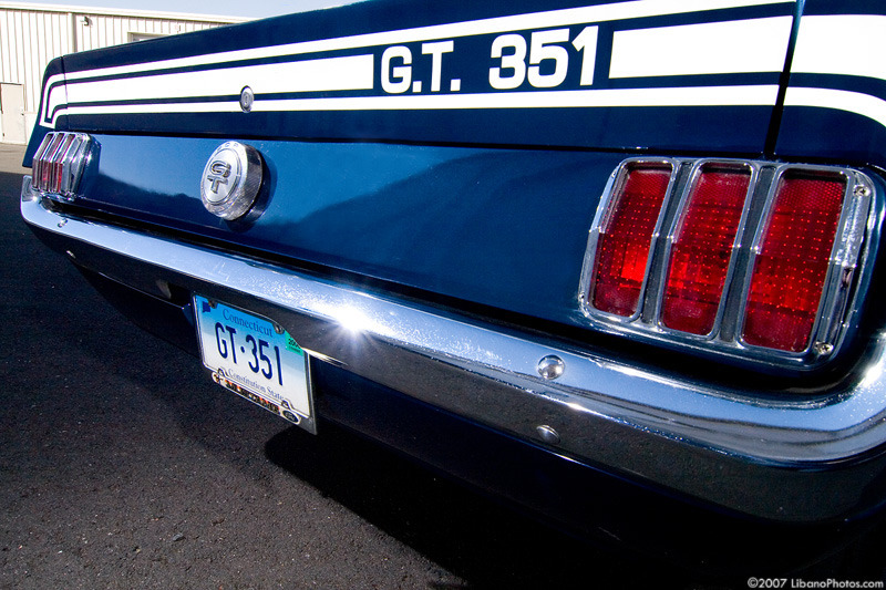 Ford Mustangs