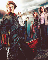 harrypotter-photosets:  the evolution of the Harry Potter’s movie posters 