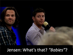 artemis-elric:  Precious, 30-year-old babies. [x] 