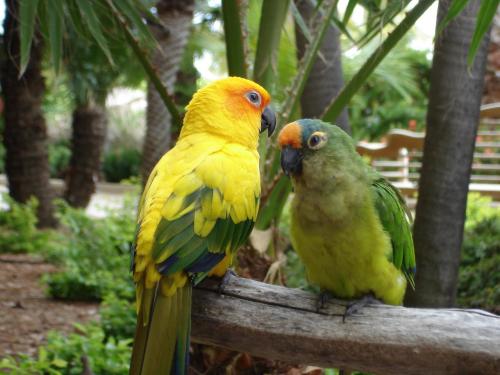 tiki-mango:tropikal-boho:guava—kisses:check out my blog for more posts like this :-)✌ ☯☯☼✌follow tik