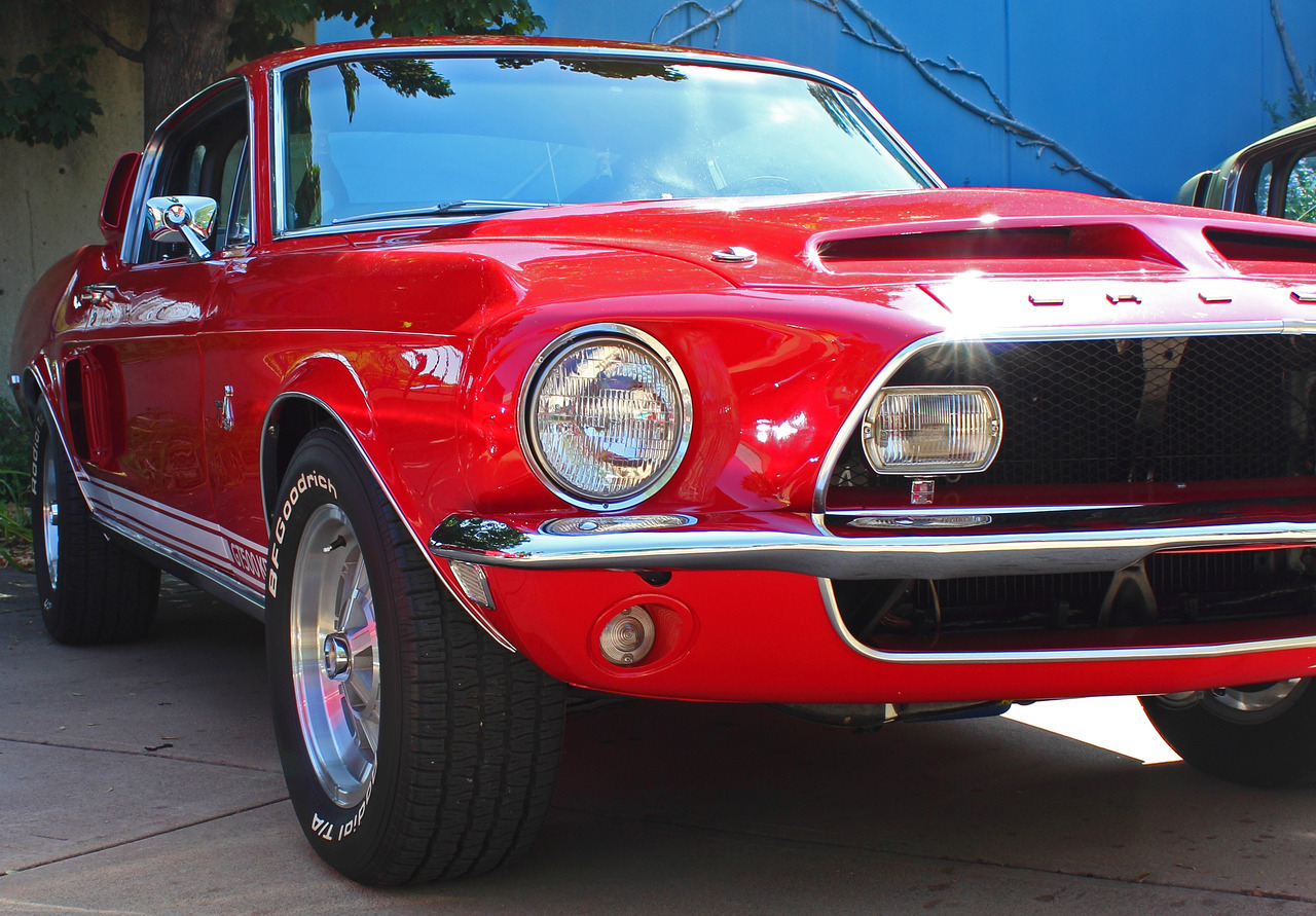 outthefrontwindow:  Shelby Cobra 428 Arvada CO 2012